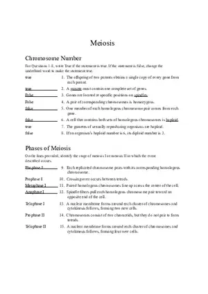 Meiosis (A Gamete Must Contain One Complete Set of Genes)