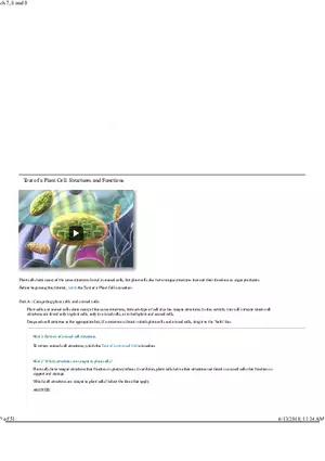 Tour of a Plant Cell Structures and Functions