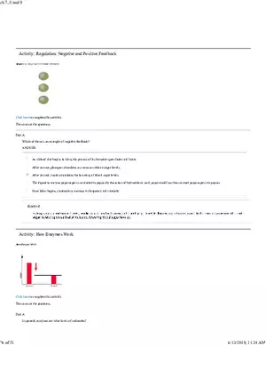 Activity How Enzymes Work