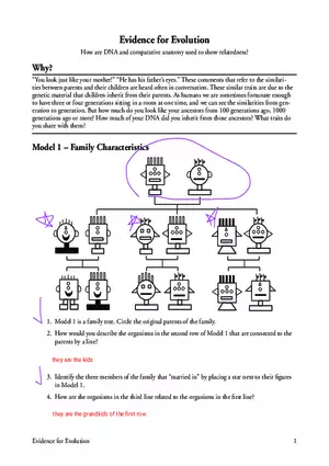 Evidence for Evolution Question and Answer Key