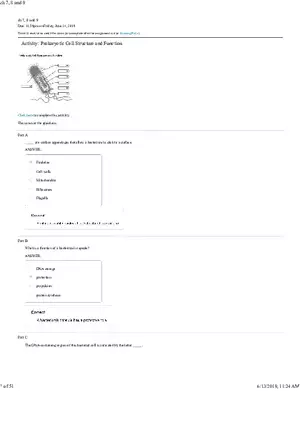 Activity Prokaryotic Cell Structure and Function