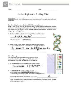 Student Exploration Building DNA Worksheet
