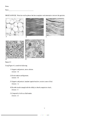 Anatomy and Physiology Exam