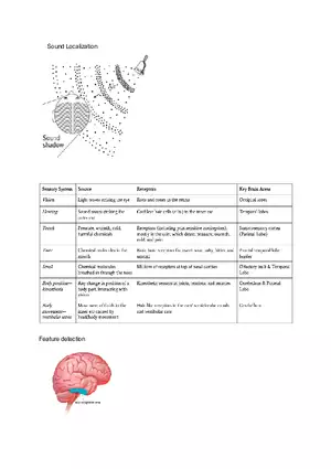 AP Psych Diagrams