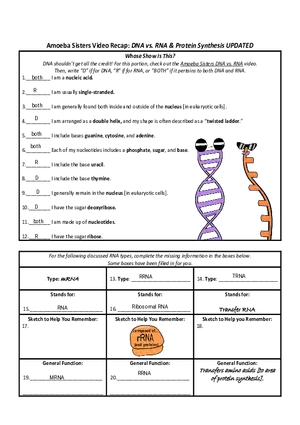 DNA vs. RNA and Protein Synthesis