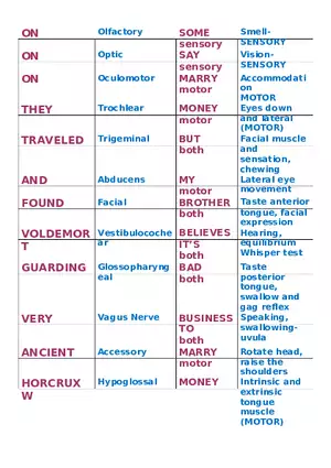 Cranial Nerves Cheat Sheet