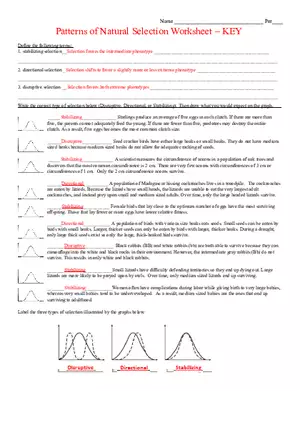 Patterns of Natural Selection Worksheet Key