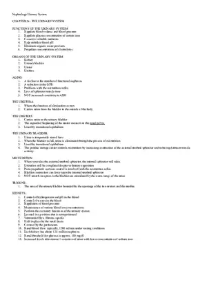 Chapter 26 The Urinary System