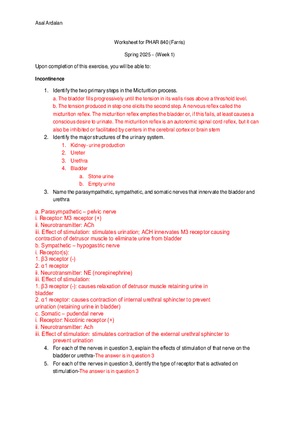 Week 1 Worksheet (2025) - Turn In