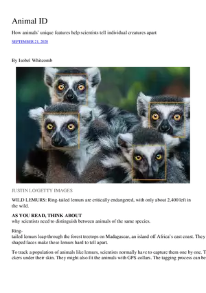 Animal ID Learning Materials