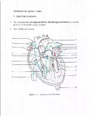 Heart Labeling