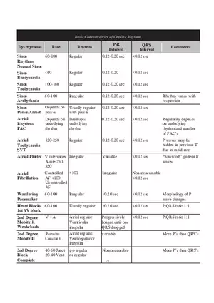 Sinus Bradycardia