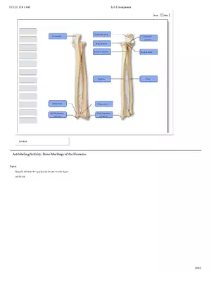 Lab Manual Exercise 8 Pre-lab Quiz Questions Part 1