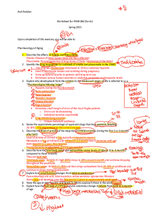 Week 2 Worksheet (2025)