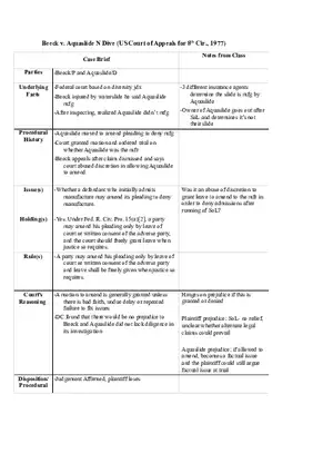 Beeck v. Aquaslide - Case Brief