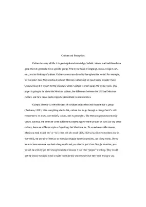 Culture and Perception Essay