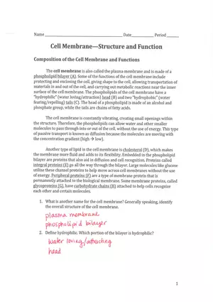 Cell Membrane - Structure and Function