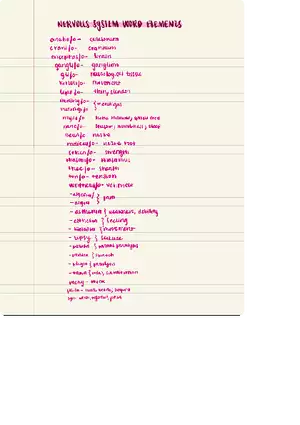 Nervous System Words Elements