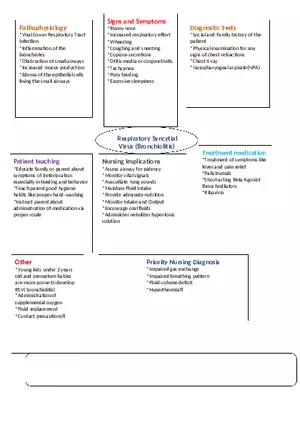 Respiratory Syncytial Virus Concept Map
