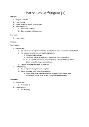 Clostridium Perfringens (+)