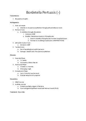 Bordetella Pertussis (-)