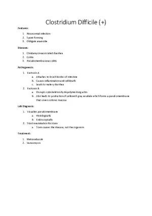 Clostridium Difficile (+)