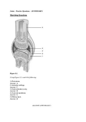 Joints – Practice Questions