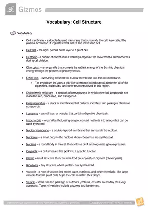 Vocabulary: Cell Structure