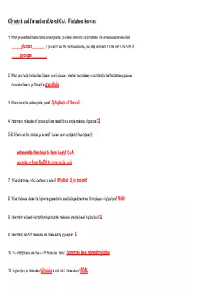 Glycolysis and Formation of Acetyl-CoA  Worksheet Answers