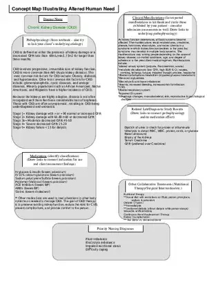 Chronic Kidney Disease Concept Map
