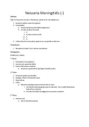 Neisseria Meningitidis (-)