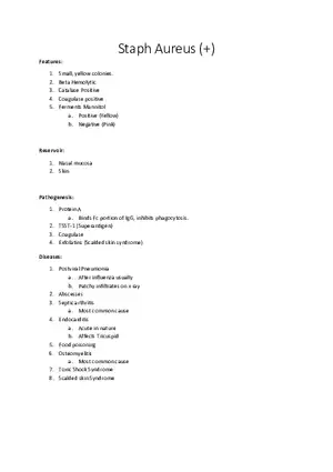 Staph Aureus (+)