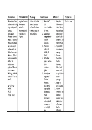Hydronephrosis Care Plan