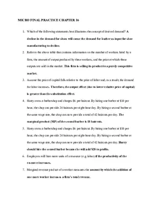 Micro Final Practice Chapter 16