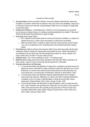 Concept Care Plan Example