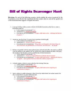 Bill of Rights Scavenger Hunt