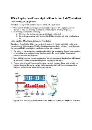 DNA Replication Transcription Translation Lab Worksheet