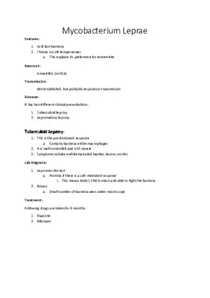 Mycobacterium Leprae
