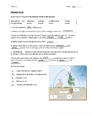 Nitrogen Cycle Worksheet