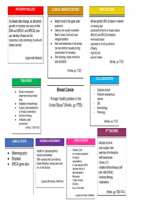 Breast Cancer Concept Map