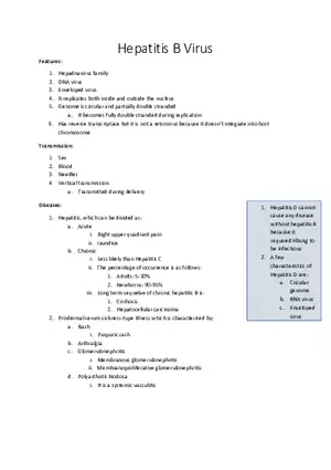 Hepatitis B Virus