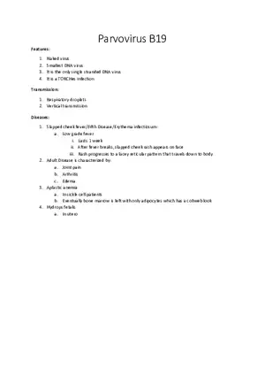 Parvovirus B19