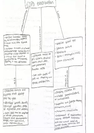 COPD Exacerbation Concept Map