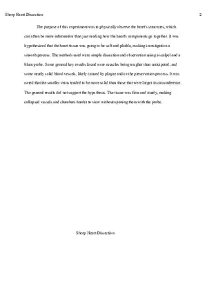 Sheep Heart Dissection Report