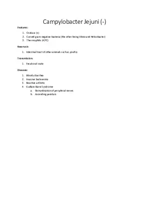 Campylobacter Jejuni (-)
