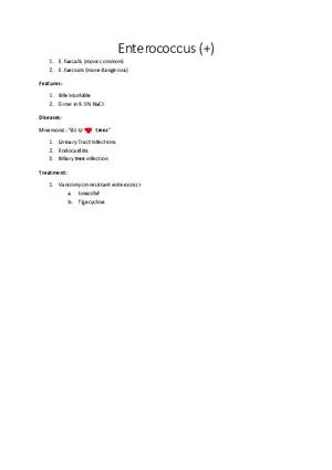 Enterococcus (+)