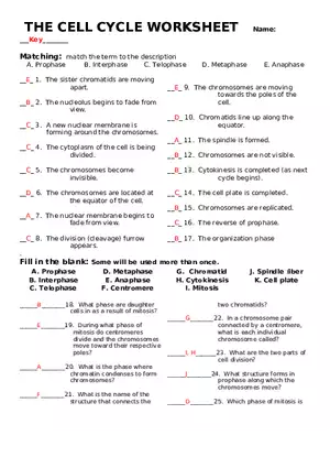 The Cell Cycle Worksheet Key