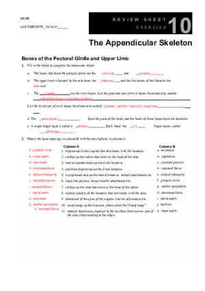 The Appendicular Skeleton