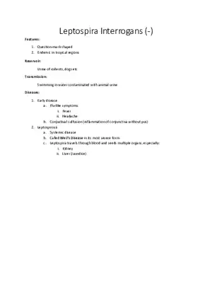 Leptospira Interrogans (-)