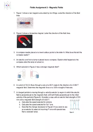 Fields Assignment 3 - Magnetic Fields